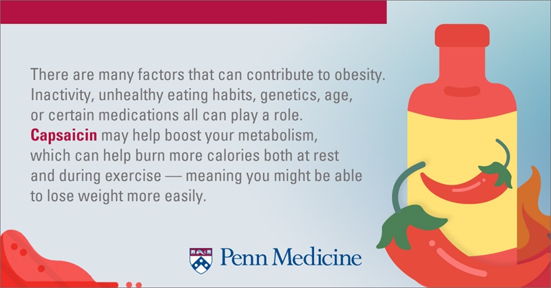 infographic_shows_red_bottle_of_capsaicin_or_hot_sauce_with_chili_peppers_explains_how_it_can_boost_metabolism_and_burn_more_calories_to_lose_weight_and_fight_obesity
