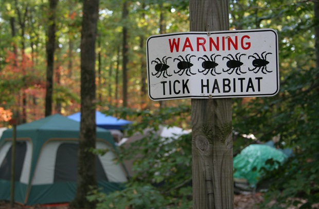 sign warning about ticks in front of a camp site