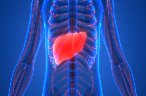 Liver Cancer | Penn Medicine