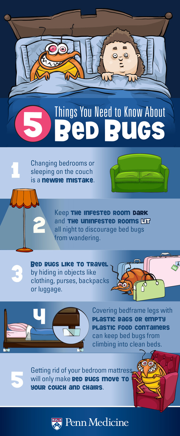 how to prevent bedbugs from biting you at night
