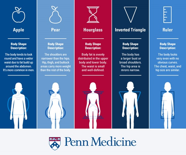 Body Type - Penn Medicine