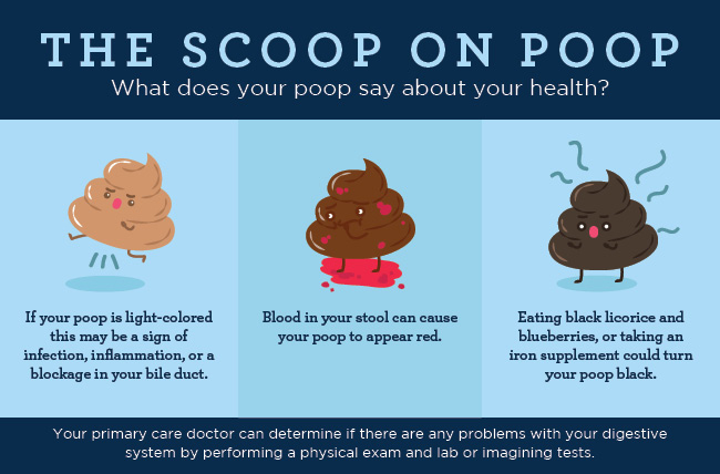 Poop Appearance - The on Your Poop's Size, Shape Color