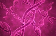 Pink DNA strands