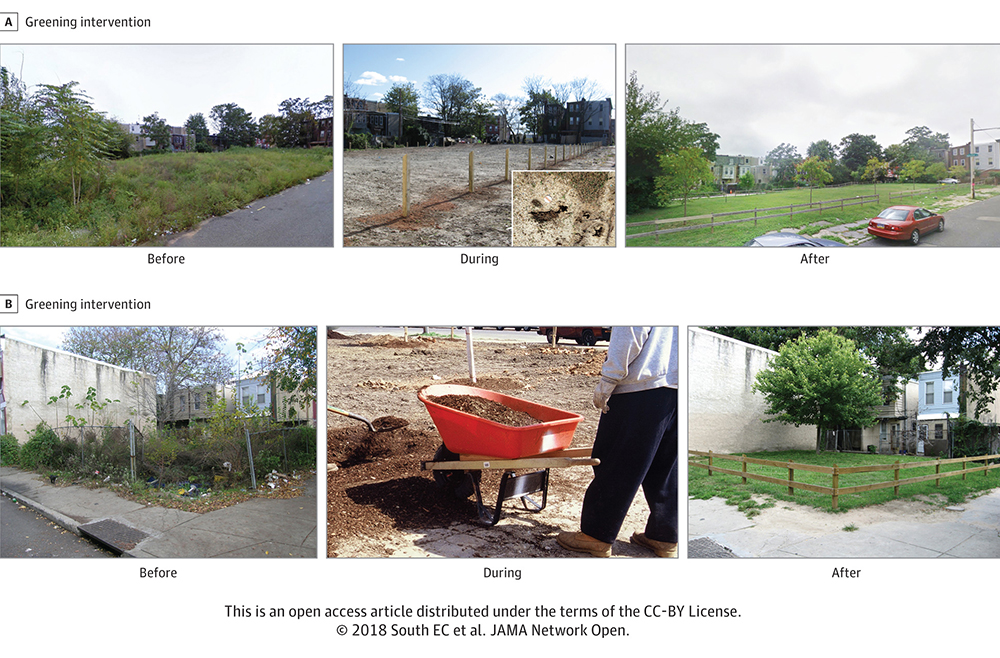 Greening Up the Suburbs – What to do with Greenbelt's Empty Parking Lots? -  Greenbelt Online