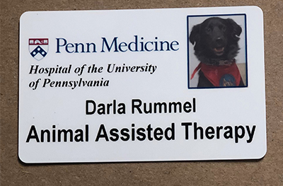 Therapy with Darla the Dog: Bringing a Lightness to the Cancer Care Team -  Penn Medicine