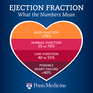 Ejection Fraction: What the Numbers Mean – Penn Medicine