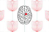 animated brain with red spot in it and red flowers next to it